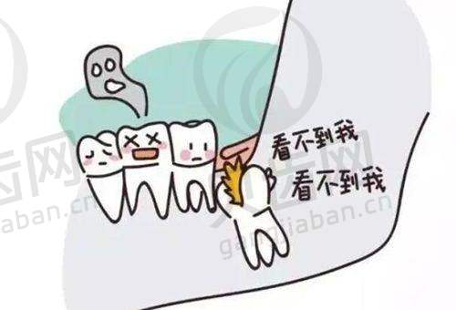 优势：优质的种植技术与专精的医生团队