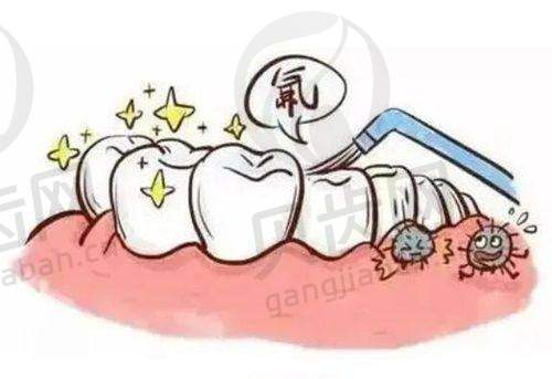 宜兴佳诺口腔的项目价格