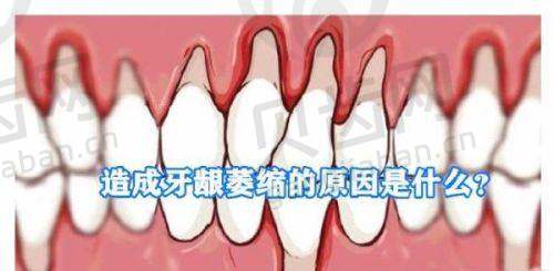 医生团队