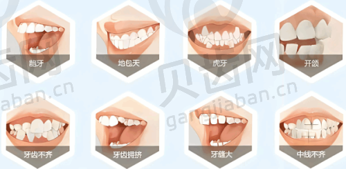 陈泽旭院长