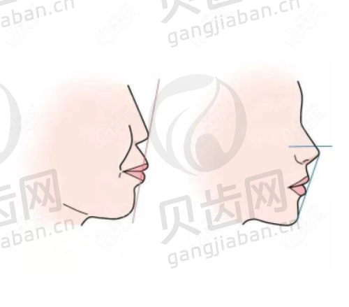 环境服务